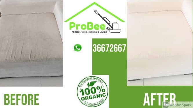 Detailed Steam Cleaning  image 1
