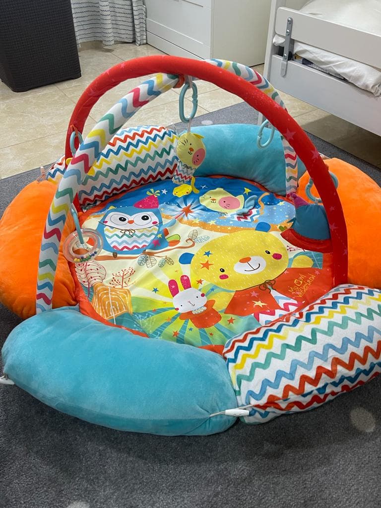 Baby Activity Gym image 1