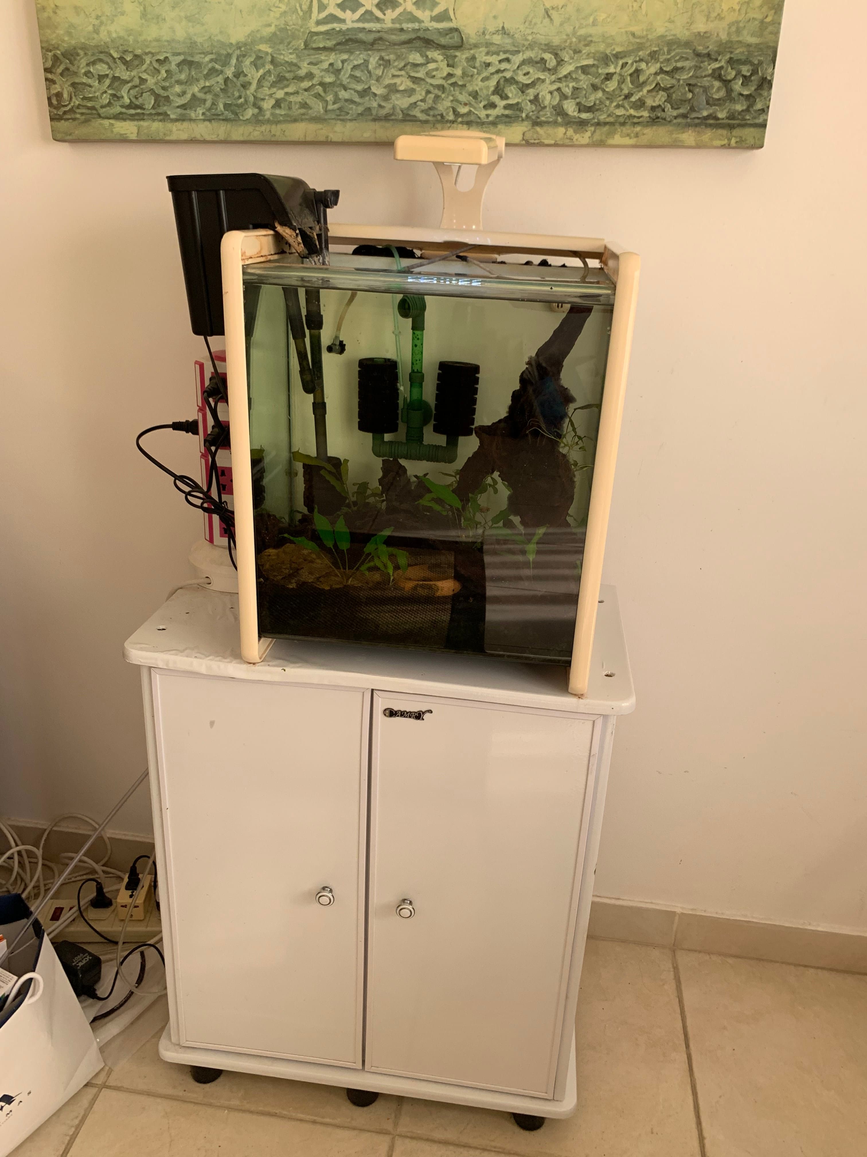 Aquarium For Sale  - For Sale in Bahrain