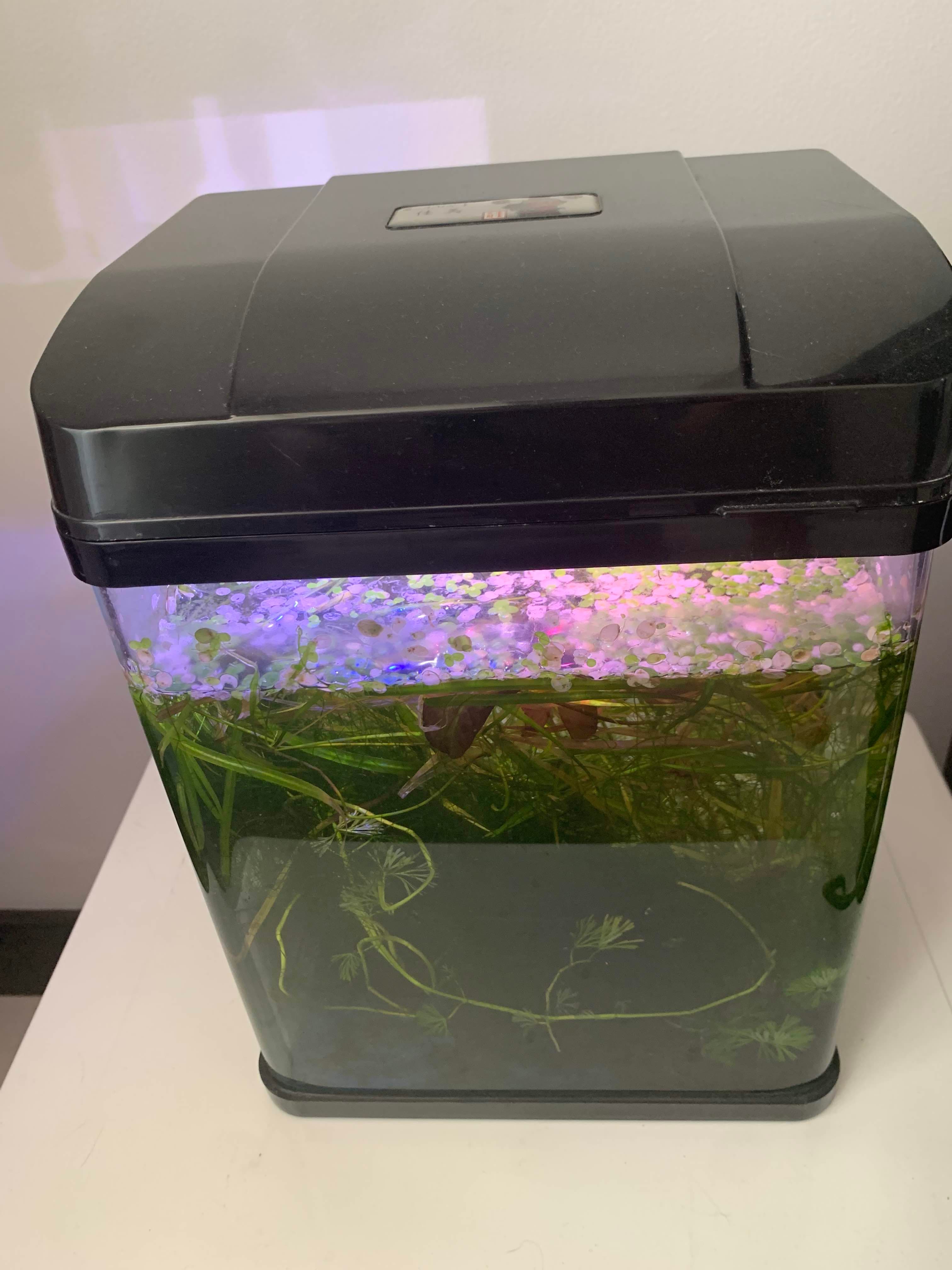 Multiple Aquariums for sale