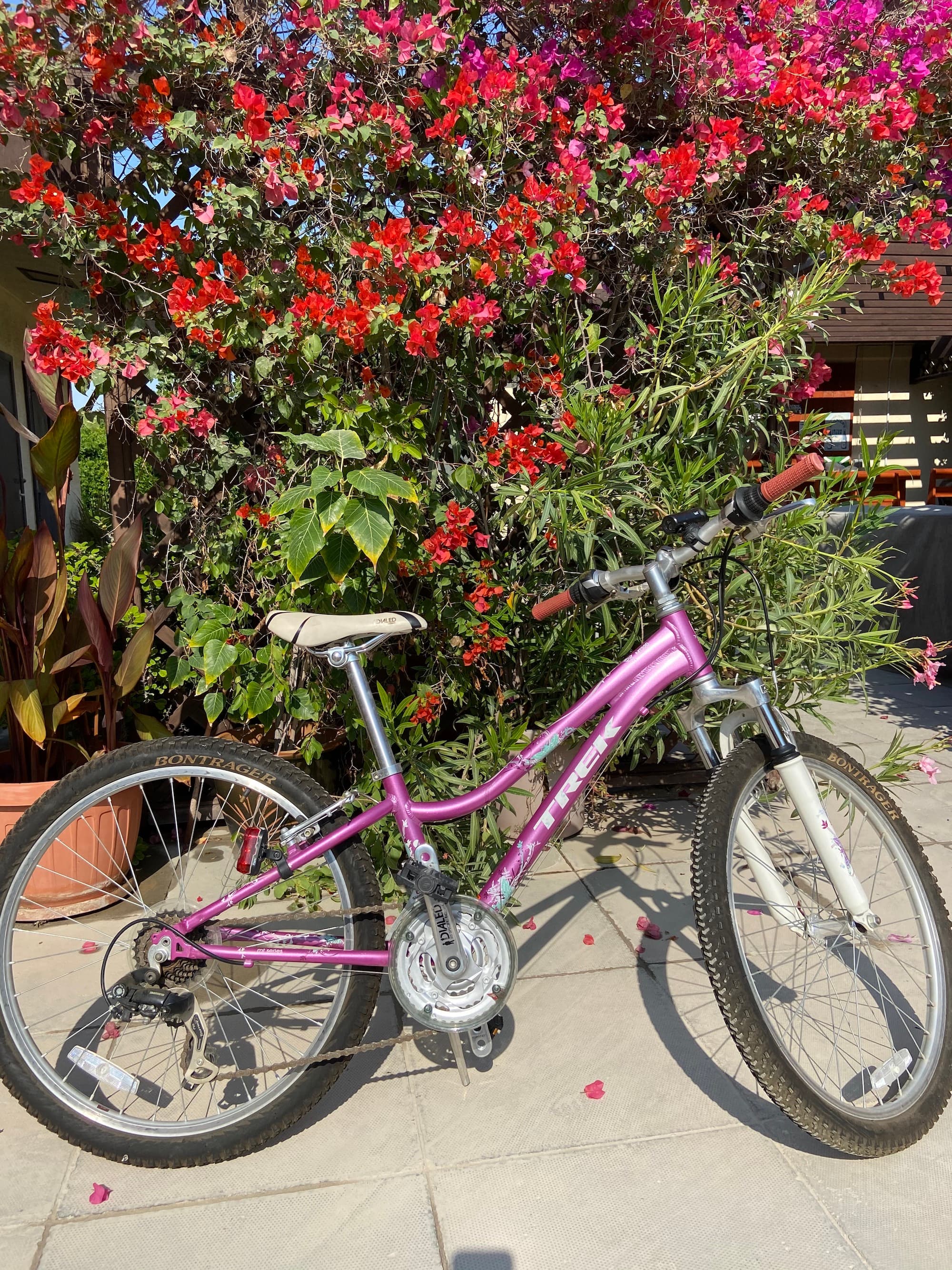 Bicycle and Helmet for sale image 1