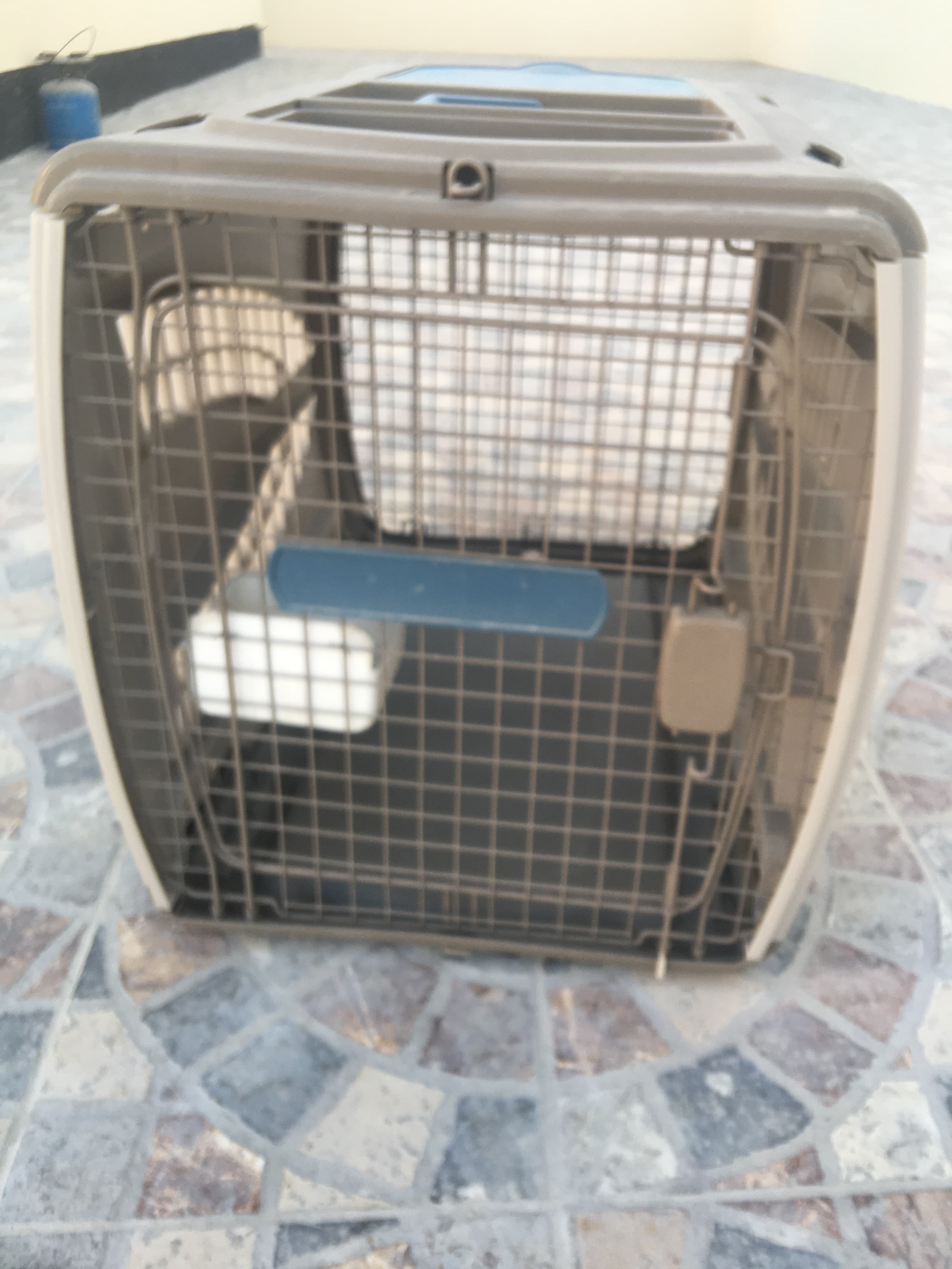Dog house image 2