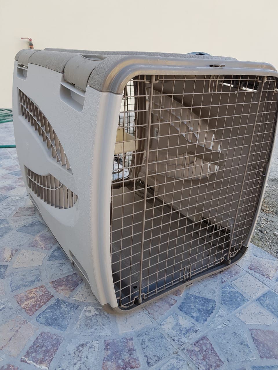 Dog  C image 3