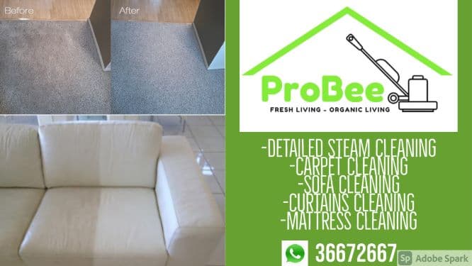 Detailed Steam Cleaning  image 2