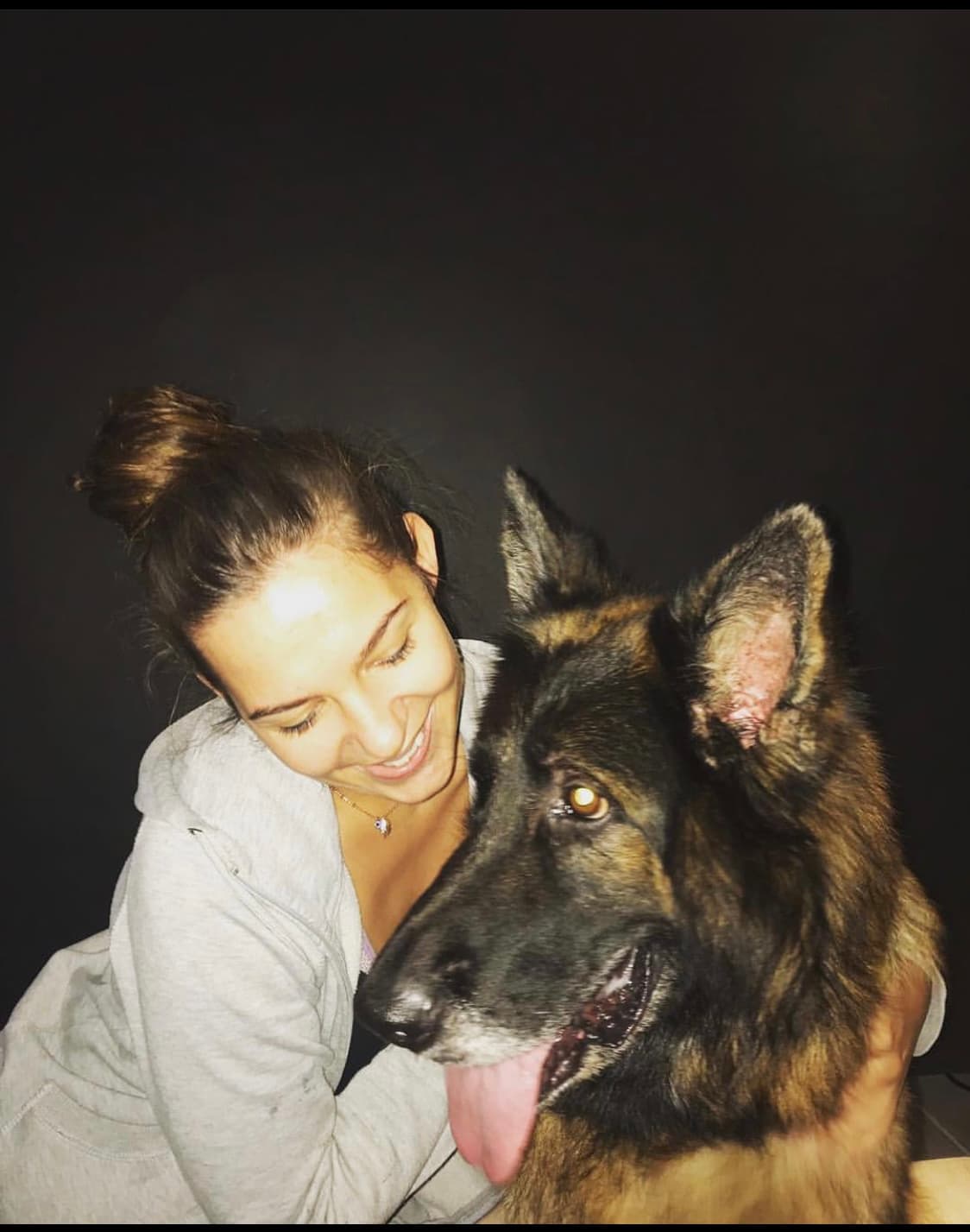 Dog, Cat, Petsitter  image 2